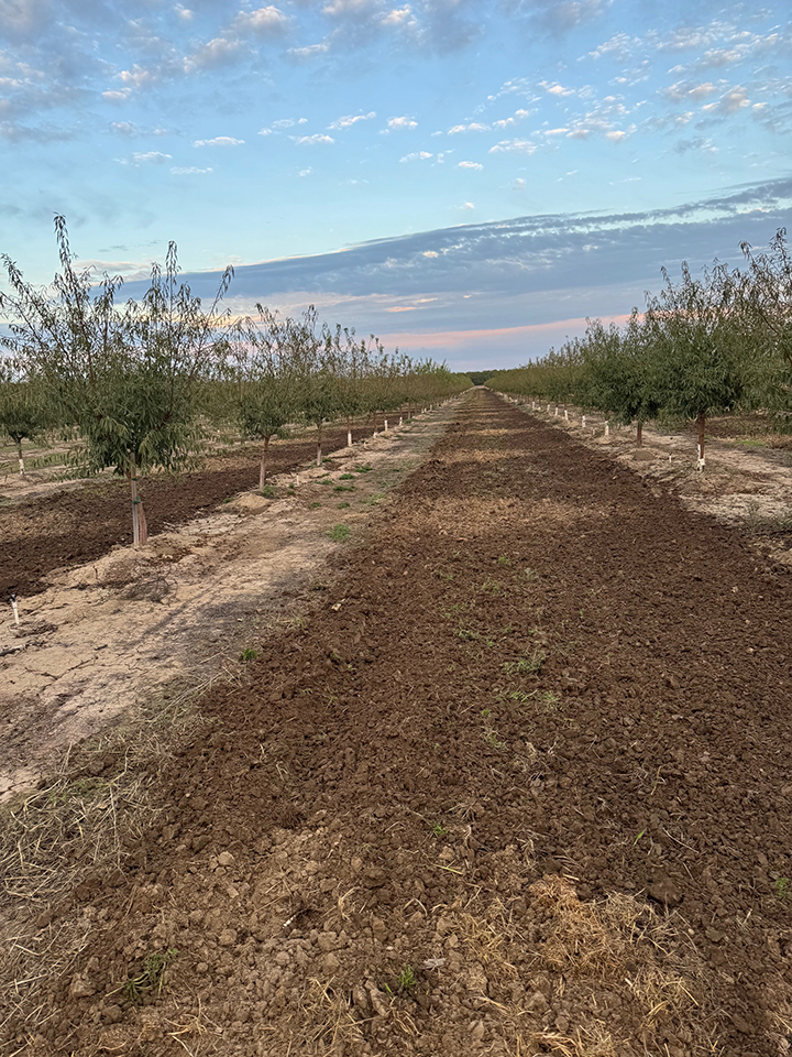 T2 Farms offers a full range of orchard and open-field services, backed by reliable equipment and a lifetime of agricultural experience.